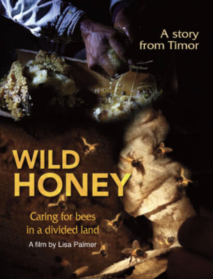 Film poster of Wild Honey, a story from Timor, Caring for bees in a divided land, A film by Lisa Palmer. Shows gloved hands holding honeycomb.
