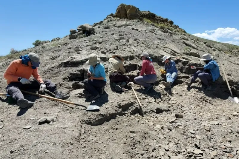 Six people on a rocky mountainside with shovels on palaeontology dig.