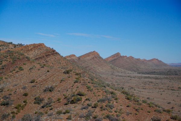 A row of pointed hills in a desert, with scattered shrubs planted across them
