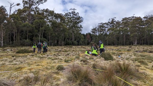Students conducting a vegetation survey 