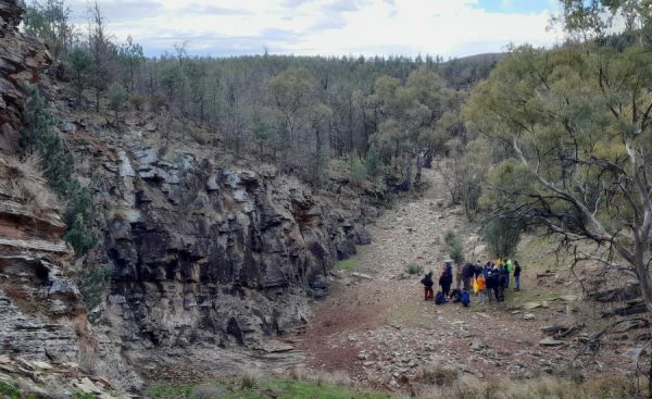 Group of people standing in a vallery in the bush with a rock wall to the side of them.