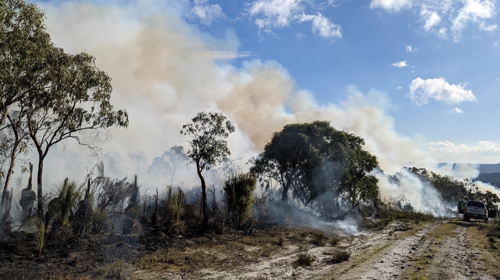 A photo of applied fire to manage bushland at Carlilse Heath