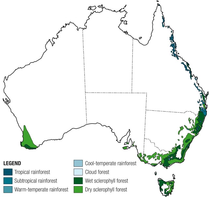 A map of Australia showing temperate forest location